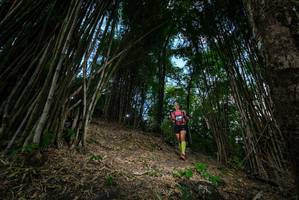 BIB: 
                            <button type="button" onclick="openModal(19395290)" class="btn btn-primary btn-sm float-right btn-popup" data-toggle="modal" data-target=".modal-high-quality">
                        <i class="fas fa-shopping-cart"></i> Add to Cart
                    </button>
                                            <button type="button" onclick="isThisMe(19395290, true)" class="btn btn-success btn-sm float-right btn-popup btn-isme hidden" data-toggle="tooltip" data-placement="bottom" title="นี่คือรูปของคุณใช่ไหม คลิกที่นี่เพื่อเอาเข้าอัลบั้ม">
                        <i class="fas fa-plus"></i> Add to album
                    </button>
                    <button type="button" onclick="isThisMe(19395290, false)" class="btn btn-warning btn-sm float-right btn-popup btn-isnotme hidden">
                        <i class="fas fa-ban"></i> Remove from album
                    </button>